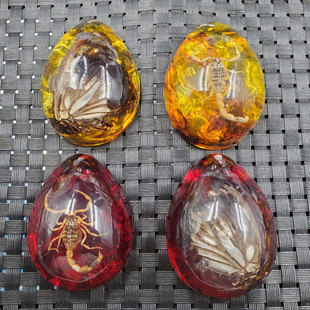 琥珀龍圖片 海量高清琥珀龍圖片大全 阿里巴巴