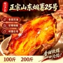 山东挖沙新鲜正宗红薯