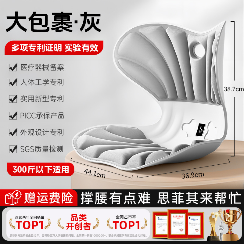 Pro+ 풀 패키지 지원 - 밝은 회색 [ 150kg 이내]