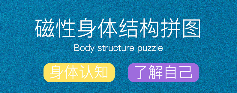 磁性木质器官认知拼图拼板幼儿园儿童身体结构认知科教木质玩具详情21