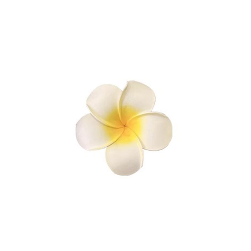 Huevo flor toallas de cabello niños mar fotos atmósfera de toallas de cabello de flores bordes laterales de flores amarillas peñas para el cabello