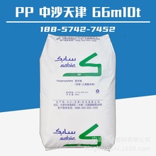 PP ��ɳ��� 66M10T �߄��� �߿��_ �͵͜� ע�ܼ����۾۱�ϩ