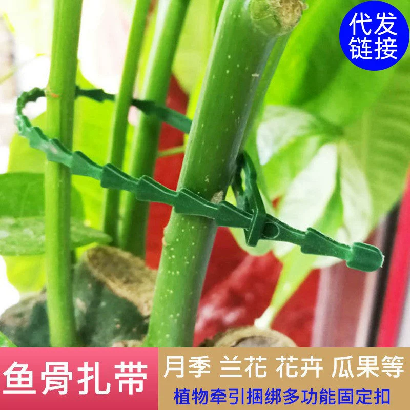 Универсальный пояс для вязания рыбьей кости зеленый сад, пояс для вязания садовой линии Садоводство линия для вязания рыбьей кости фиксация растений