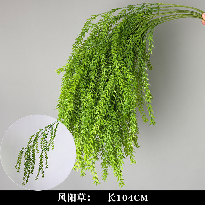 Feng Yang grass