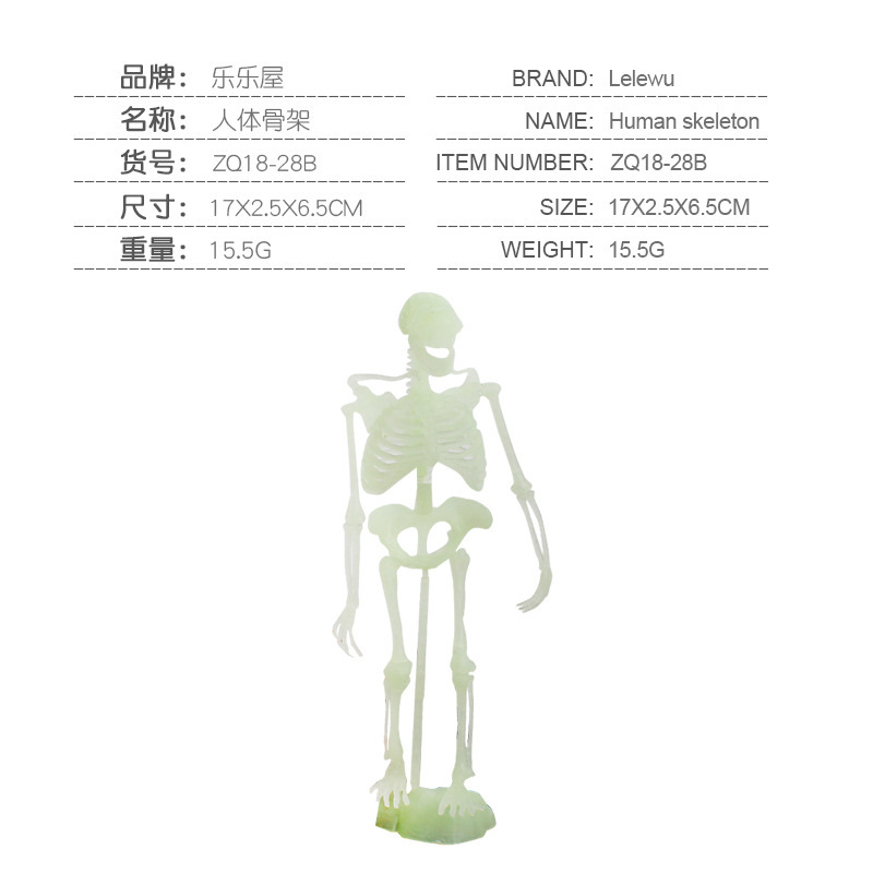 Transfronterizos de venta caliente simulación sólida modelo de cráneo de dinosaurio estático T. rex Velociraptor esqueleto arqueológico juguetes para niños