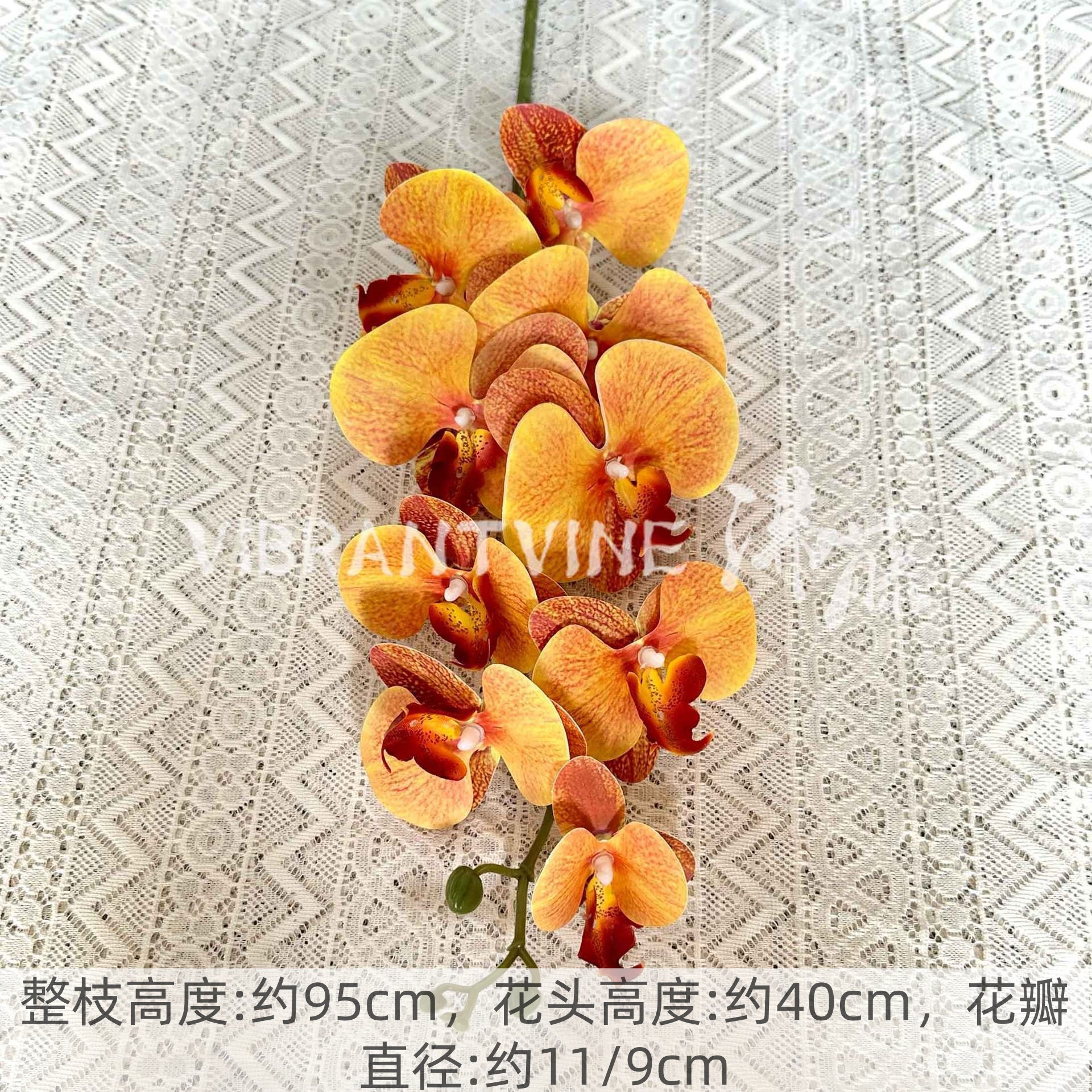 Autumn yellow 3d phalaenopsis