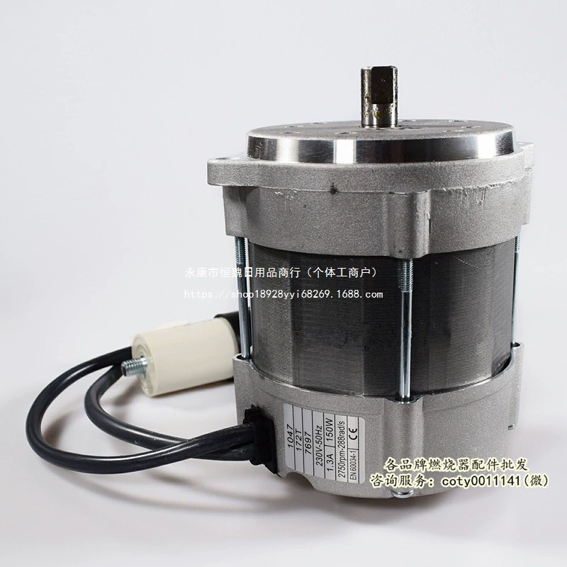 Аксессуары для горелок Riello: мотор G20, мотор вентилятора G5, мотор G10 готовы к продаже