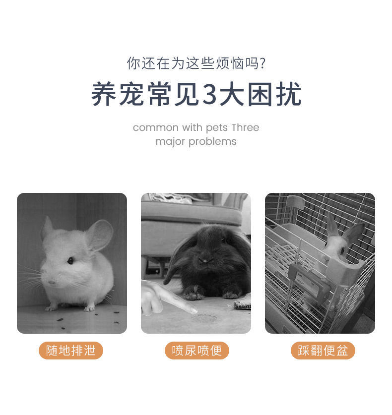 3f606746-aa9a-44cf-b94f-a4587cc786e7.jpe