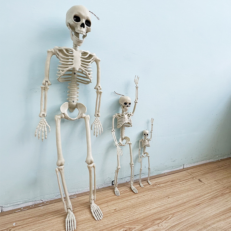 Helovīna simulācijas skeleta apdares kulonu butaforijas plastmasas cilvēka galvaskausa skelets var stāvēt locītavu kustīgs skelets_voghion.com