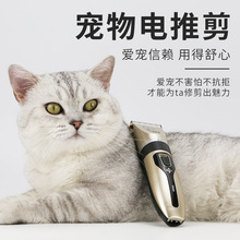 ������ë�� ������Ƽ���������ӌ�������Ȯ������ë����