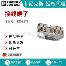 �����˹����ֱͨ����ֱ��ʽ��ɫ-PT 2,5-QUATTRO-3209578