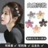 Bangs, small crab pin, hair accessory, hairgrip, cat's eye, flowered