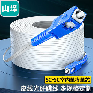 ɽ����ż����w���� SC-SC�҃����ģ��о 1о2䓽zβ�w�͟��o�u