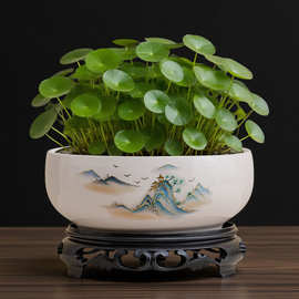 水培花盆陶瓷大号铜钱草睡莲一叶莲碗莲金钱草专用盆无孔水仙花盆