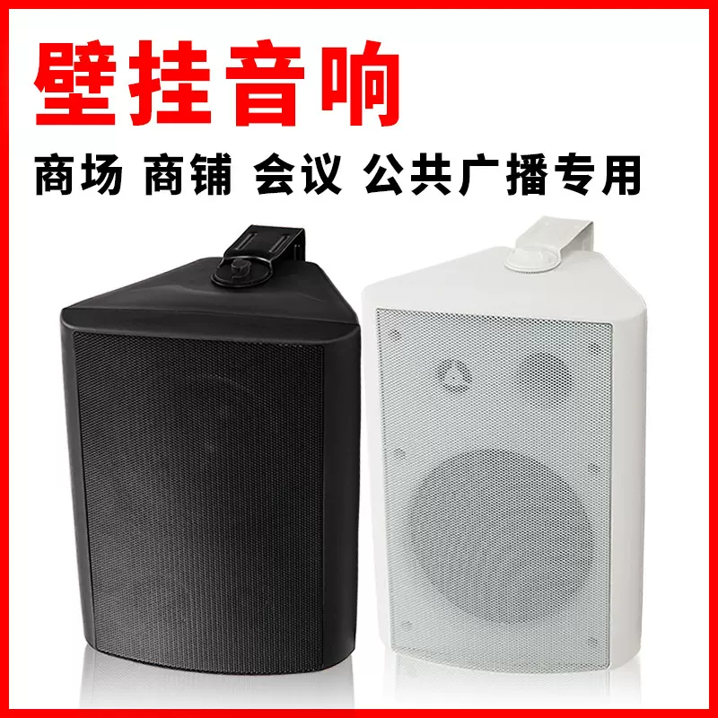壁挂音响 公共广播门店超市商场会议商用 定阻定压蓝牙 壁挂音箱