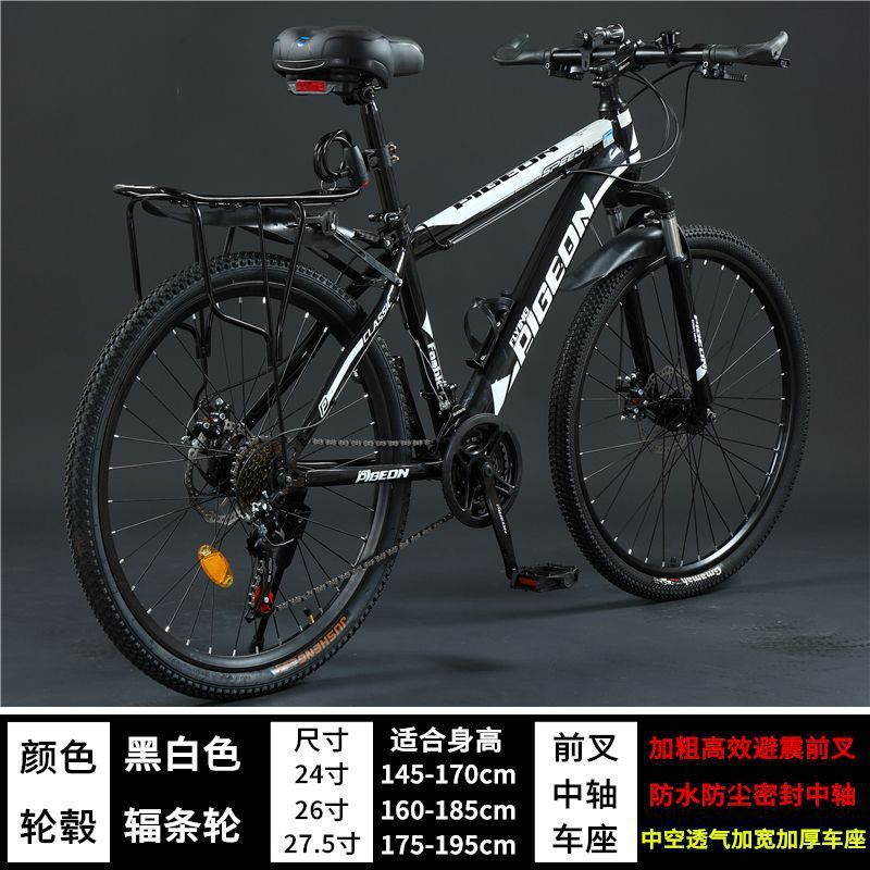 Steel frame version - black and white - flagship version [spoke wheel]