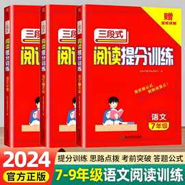 2024版初中三段式阅读理解法提分训练七八九年级中考语文专项训练