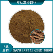 夏枯草提取物10:1 20:1 30:1 水溶性夏枯草粉 比例萃取浸膏粉