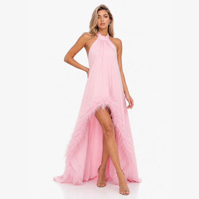New cross-border women's clothing for independent websites: European and American style long evening gown with feather train and open back for parties