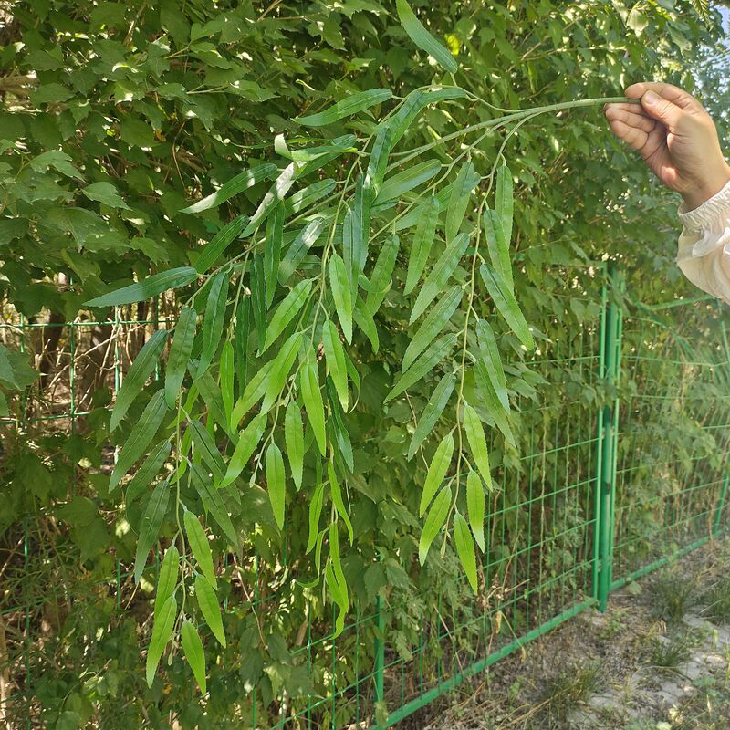 Simulated Willow Leaves, Willow Branches, Fake Branches and Leaves, Outdoor Courtyard Autumn Decoration, Green Plants, Garden Landscape, Green Leaves Wholesale