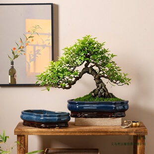 �մɻ�����ʽ����E�A�δ�ڏ��͏d�[���_�h��̦�\�쾰�辰��