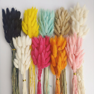 Dried flower bouquet eternal flower rabbit tail grass dried flower imitation Flower home decoration shooting props rabbit tail grass wholesale
