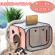 猫咪烘干箱吹干宠物洗澡家用洗猫吹风机狗狗小型折叠吹毛专用便携