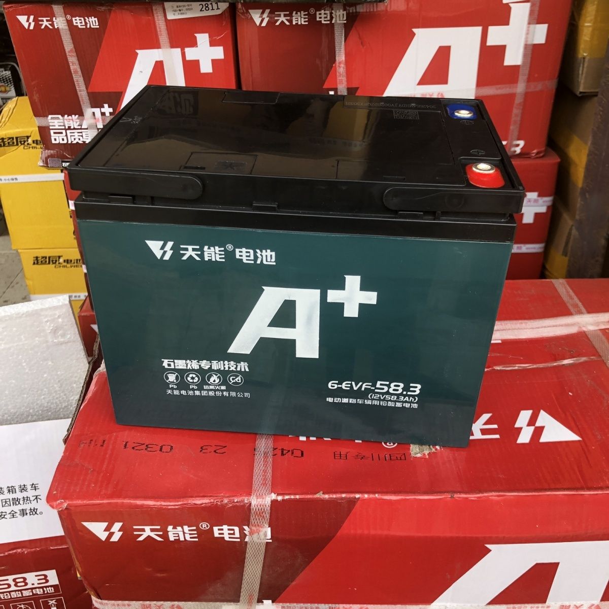 厂家供应天能A+系列电池48V60V-58.3安电动三轮车四轮代步车电瓶