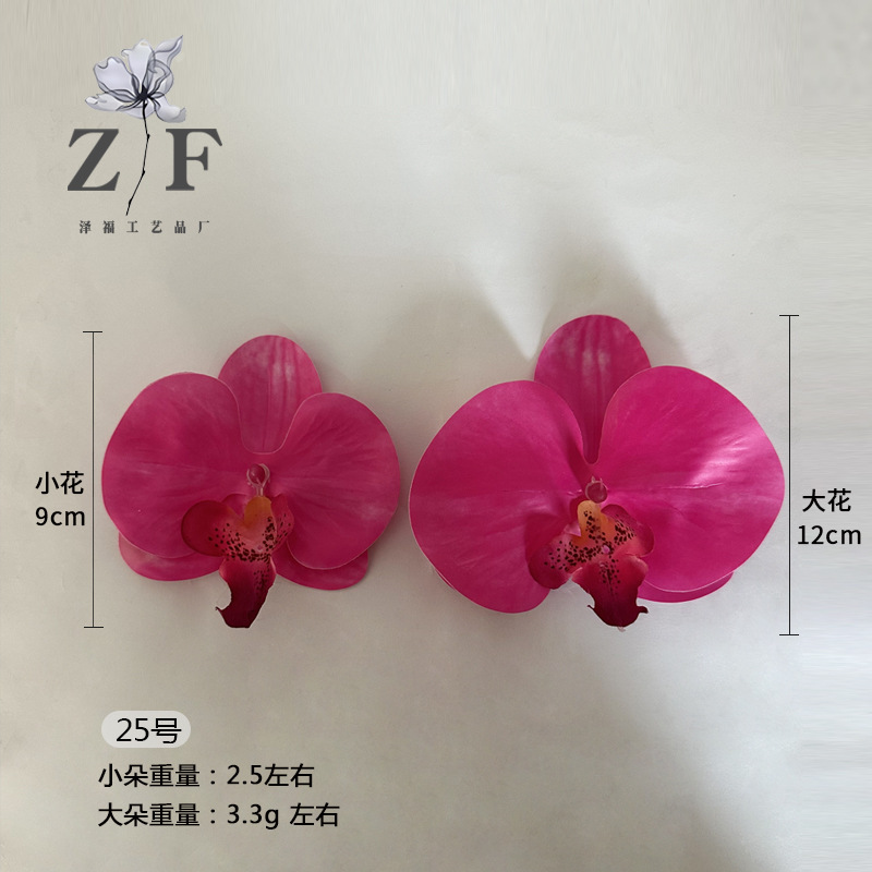 25호(대)