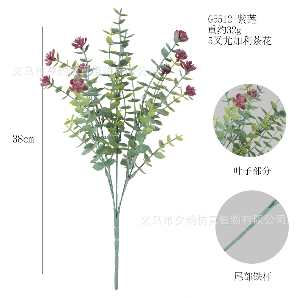 G5512-밀크 로터스 5갈래 유칼립투스 동백