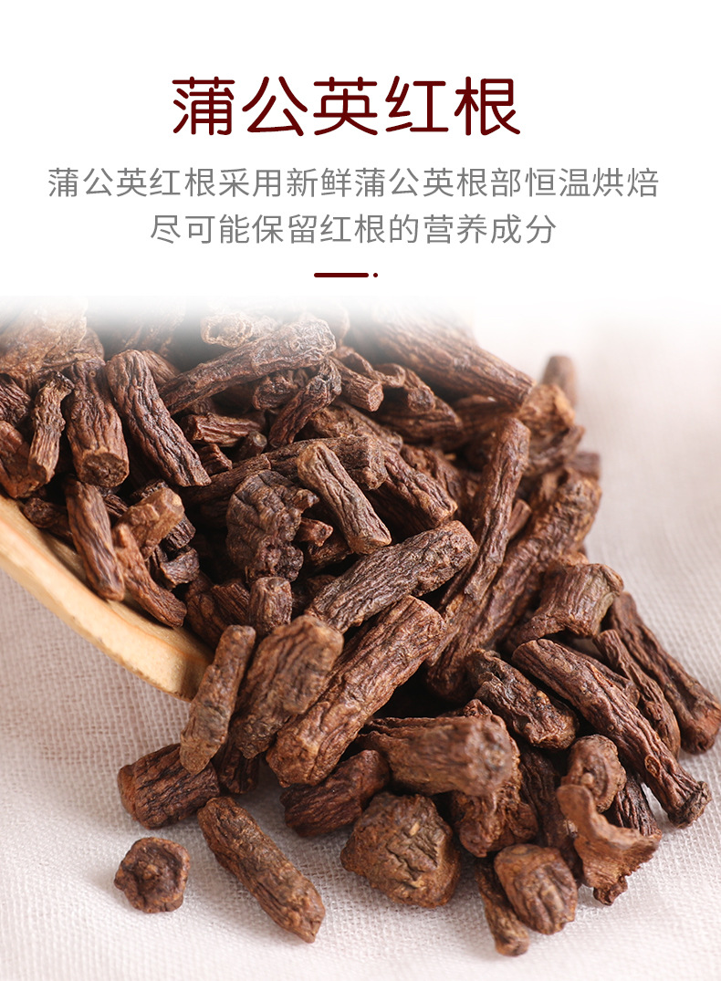 蒲公英红根_07.jpg