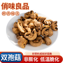 香脆双孢菇脆休闲零食果蔬脆双孢菇脆低温油炸双孢菇菌类厂家批发
