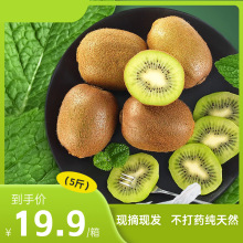 正宗徐香绿心猕猴桃新鲜大果5斤整箱新鲜当季水果包邮酸甜多汁