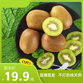 鸡蛋;柑桔;植物油