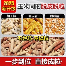 ¿ׄƤÓһwC˺ƤƤÓƤ˺ƤÓһwC