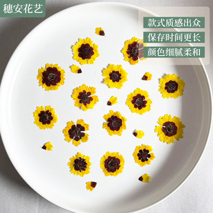 Natural Petal Plant DIY Handmade Decorative Snake Chrysanthemum Dried Flower Embossed Candle Table Lamp Decal Artistic Embossed Painting