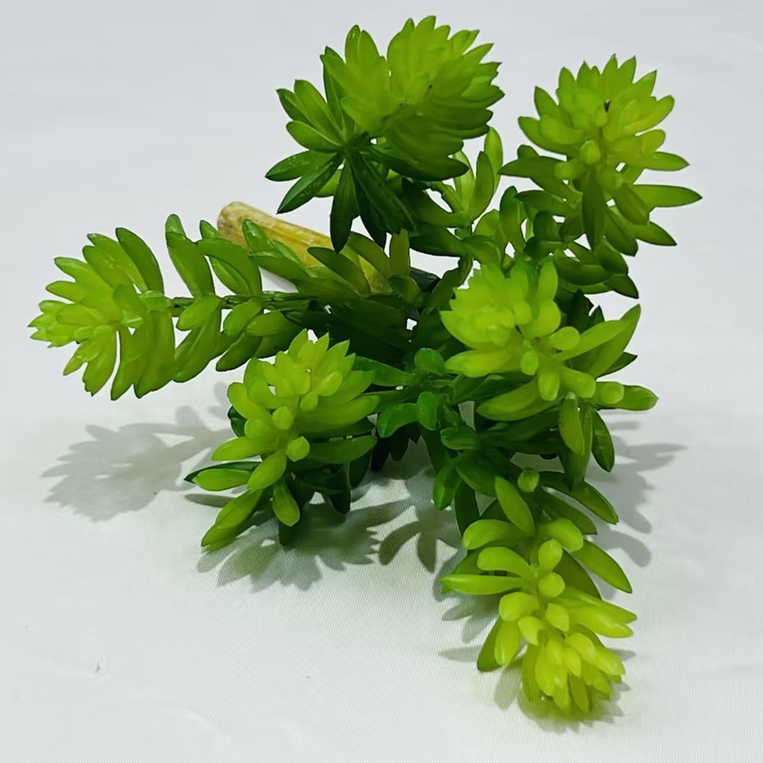 Marco decorativo Planta nórdica colgante de pared decoración de pared colgante de pared tridimensional pared de fondo de planta verde pared cabeza de ciervo simulación suculento planta verde