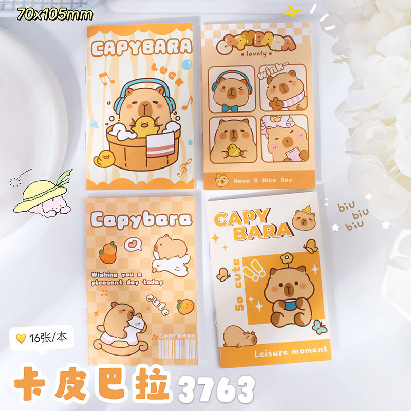 3763 카피발라(작은 책)