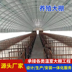 农业畜牧养殖大棚厂家 养鸡 养猪 养鹅 养鸭 养羊 养牛大棚设计