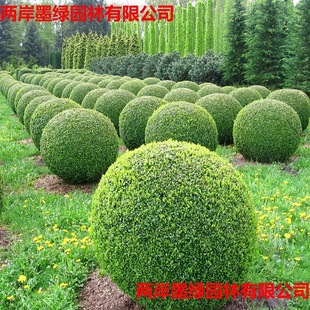 ���~Ůؑ�����ͥԺ�G�����̽�����Θ䳣�G��ľС�~�����ľ���~