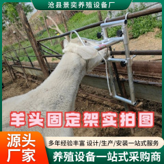 高さ調節可能な羊頭固定フレーム、電動羊毛バリカン、毛推し、注射、輸液補助、太いロープ付き
