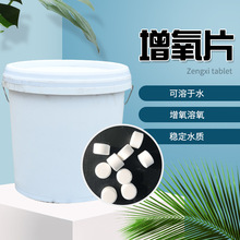 �ĵ�Ƭ�~���������������������w�����������~������Ƭ