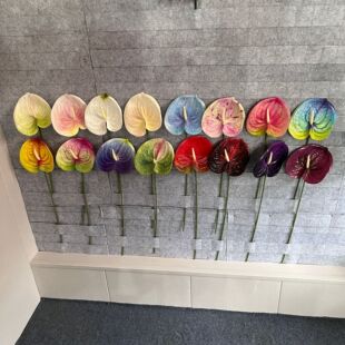 ����t�ƻ��Z��3d��ӡ��c�ҾӔzӰ�b�ֲ�ﻨ�Ĳ廨�ٻ����滨