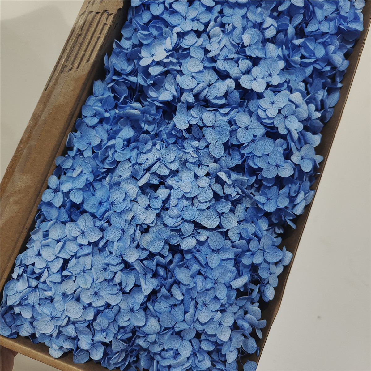 Flor eterna Hortensia Anna pequeña hoja flor seca flor real árbol de Navidad ventilador hecho a mano ramo DIY material paquete flor