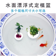水面浮遊植栽バスケット、丸型水槽、魚鉢造園、水耕植物固定具、銅貨草植栽固定根バスケット