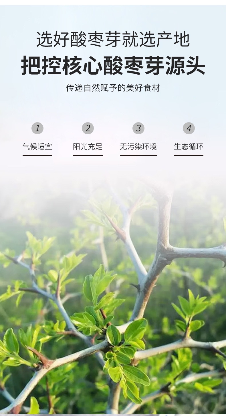 Suan Zao Ya Tea (Ziziphus jujuba var. spinosa) — First-Flush Wild Jujube Leaf & Bud Herbal Tea key features