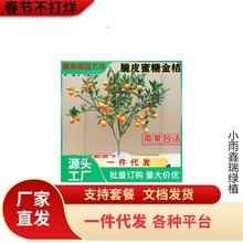 һ�����l��Ƥ���َ����l؛���Ԙ����ļ������ʳ�����������ǽ��