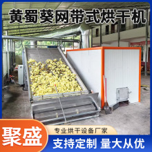 中药材网带烘干机 连翘苍术黄芪干燥机 花茶类多层带式烘干流水线