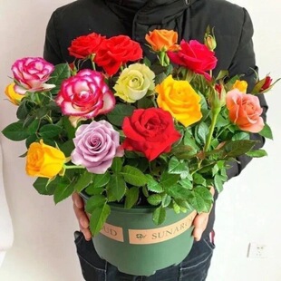 ���N��õ�廨���ļ��_�����¼��҃������Ի����̨�^��ֲ����B