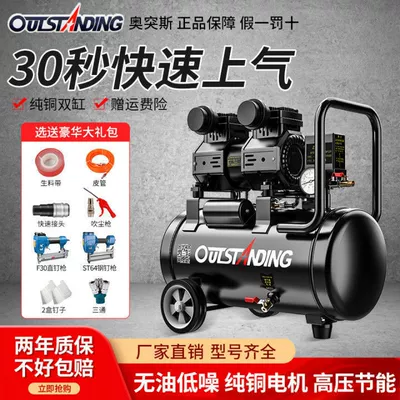 Otus Silent Oil-Free Air Compressor Small 220V Air Pump Woodworking Spray Painting Decoration High-Power Air Compressor